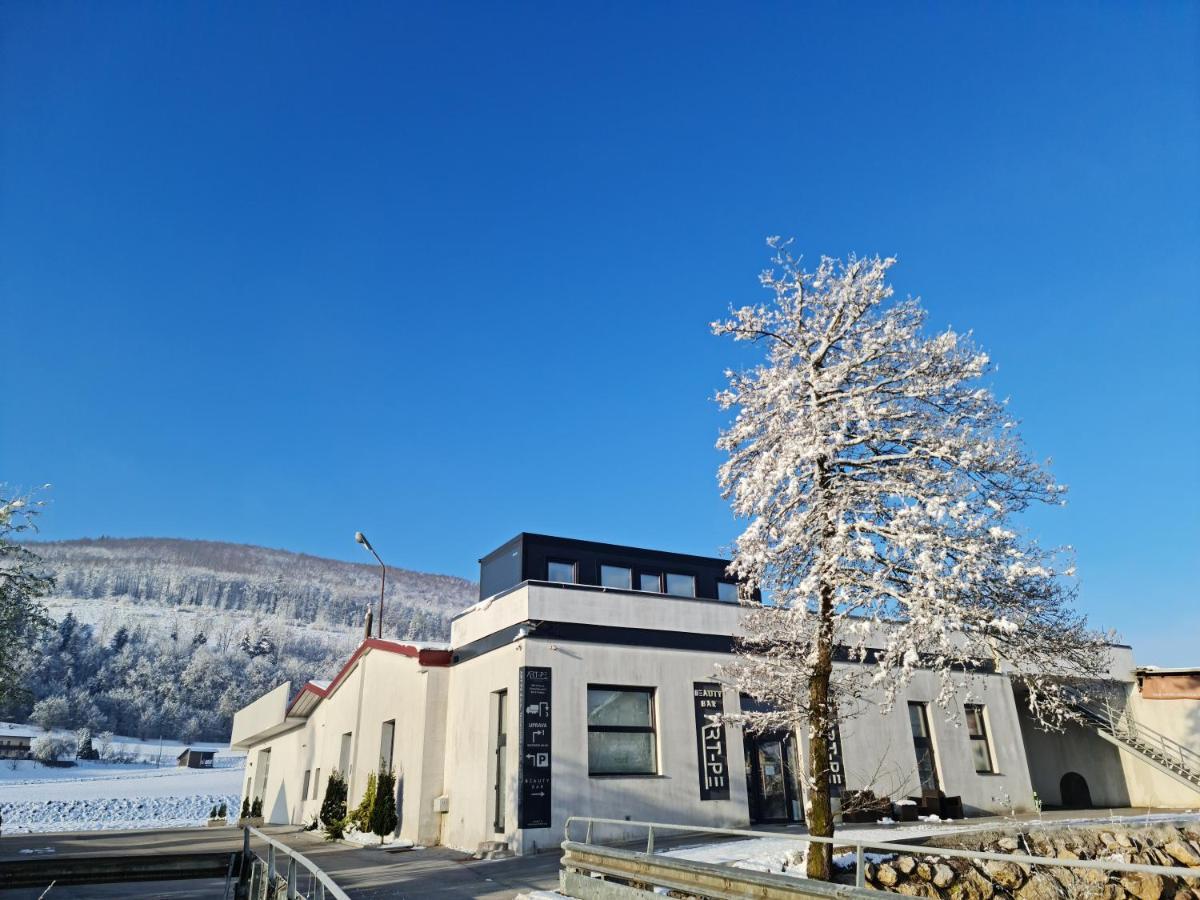 Roof Apartment Art-Pe Trebnje Bagian luar foto