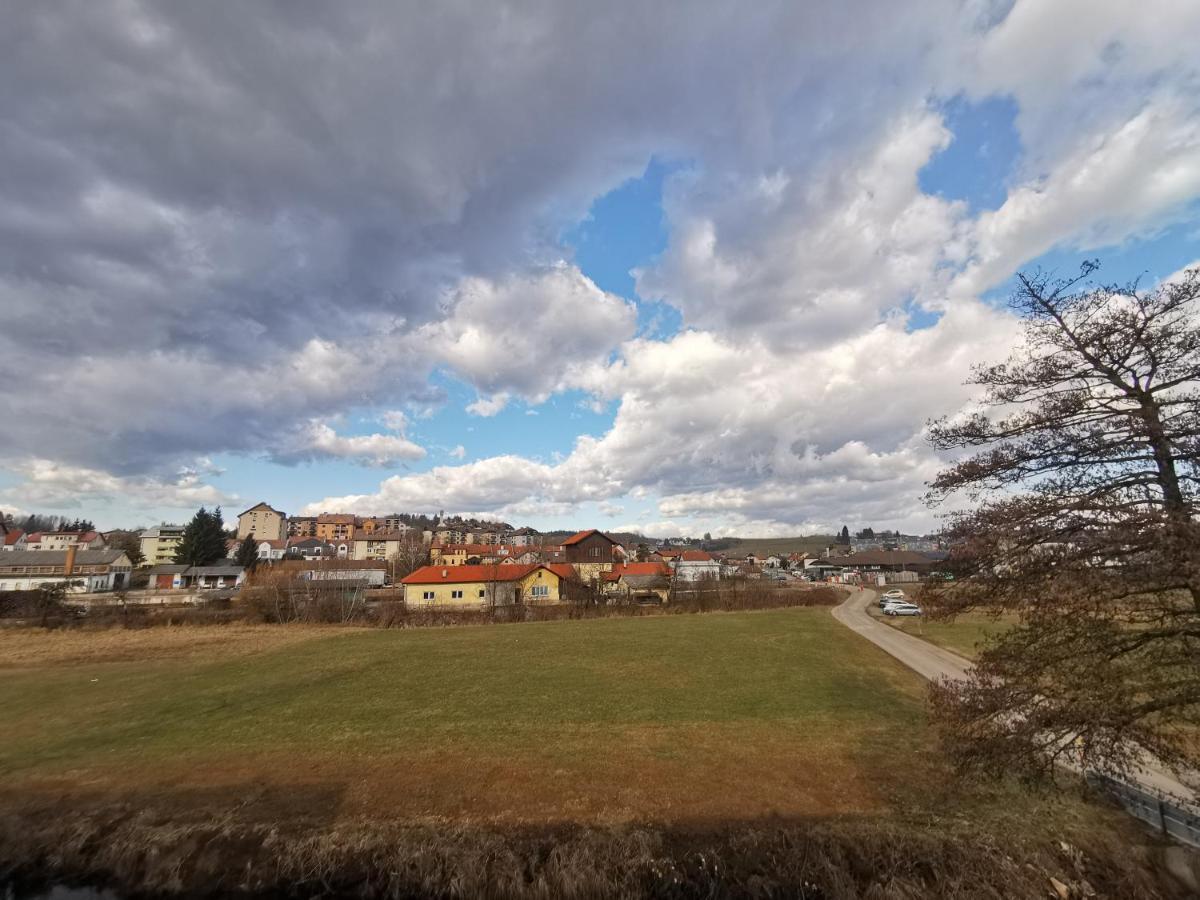 Roof Apartment Art-Pe Trebnje Bagian luar foto